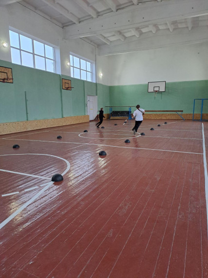 Школьный спортивный клуб.